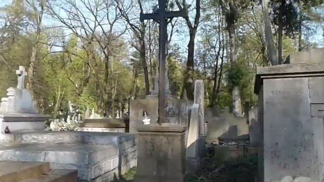 Разграбленные склепы на Лычаковском кладбище.Львов. смотреть онлайн