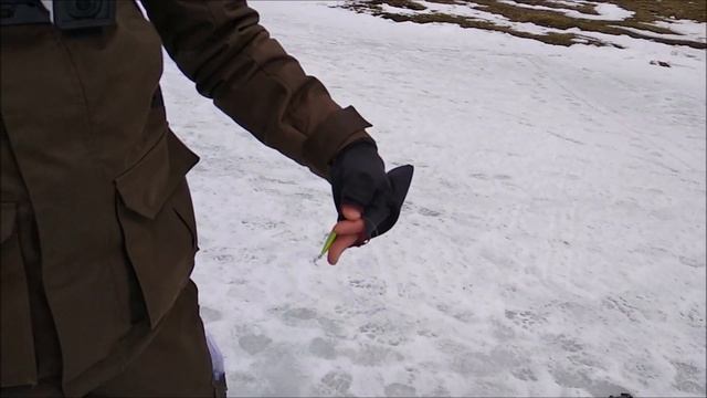 Клев продолжается! Сиг и форель! Клевое место, д. Савельево смотреть онлайн