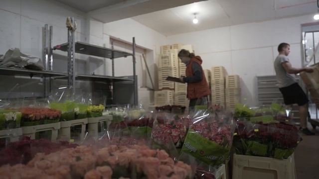 Цветы оптом. Сколько стоит закупка в Голландии на цветочных аукционах. смотреть онлайн
