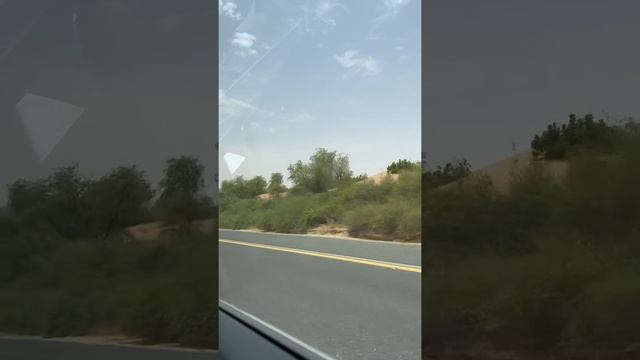 Dubai to Al Ain | Traveling from Dubai to Al Ain | Desert | Greenery | Weather | Summer Dubai