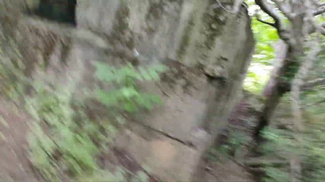 БЕСКОНЕЧНЫЕ ЗАРОСЛИ заброшенной территории ВДНХ. смотреть онлайн