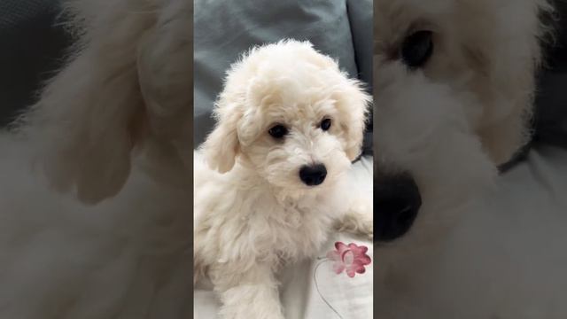 Любовь ❤️