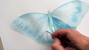 Blue Butterfly watercolour painting. How to paint iridescence?