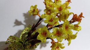 Бисероплетение. Цветы из бисера. 2 часть.  Канна Луи Коттон. Canna Louis Cottin. Мастер класс.