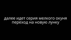 зимняя блесна "Капля-окуневая" 60мм от WINTERLURES.ru