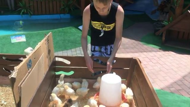 Ейск. Отдых с детьми в Ейске . смотреть онлайн