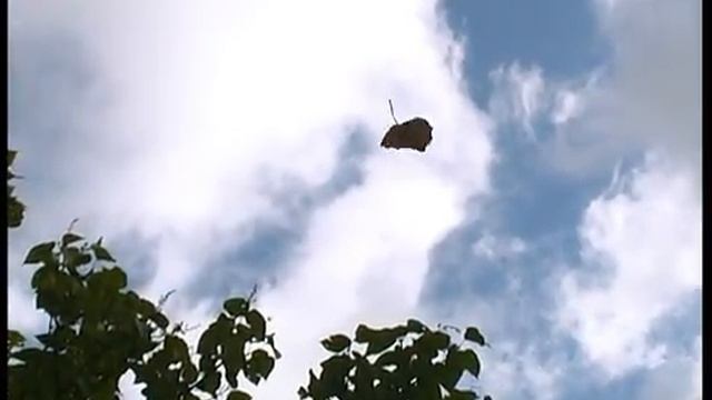 Энгель. Дорога к Пушкину смотреть онлайн