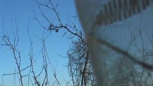 Panasonic SDR-H280 тест записи