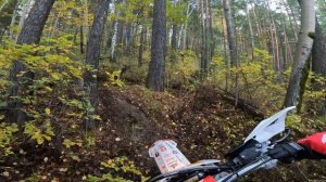 Сусанин 2024. Лесной день ┃Золото┃Тех.Сход