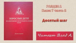 18. Двенадцать шагов ВДА. Красная книга ВДА. Раздел 1. Глава 7. часть 2. 10-й шаг. Читает Влад А.