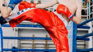 Обзор Краевых соревнований по кикбоксингу  в Тимашевске. С участием СК Феникс Гулькевичи.