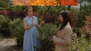 Как ускорить рост туй // Почему всем нужен кизильник: ленивый садовод Полина-Малина делится советам