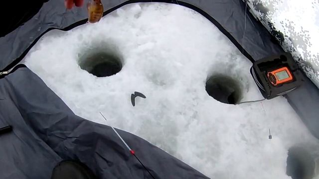 На что ловить окуня зимой. Окунь на мормышку.