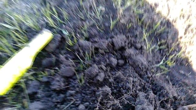 Коп на праздник в Вербное Воскресенье смотреть онлайн