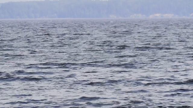 Одно из лучших мест для отдыха на Волге