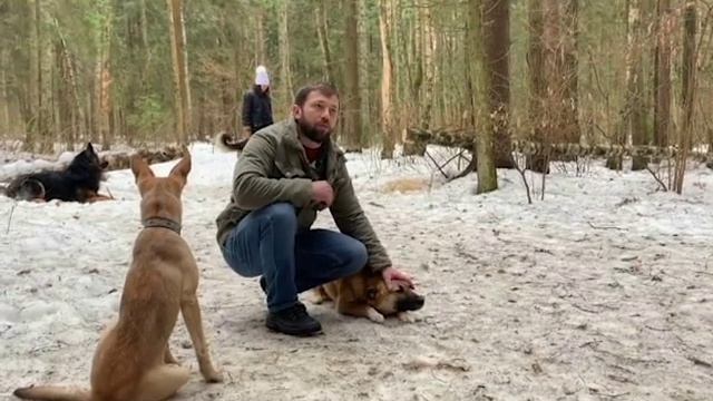 Булька и Рыжик смотреть онлайн