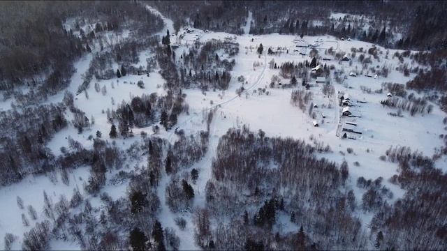 24 января 2022 г. смотреть онлайн