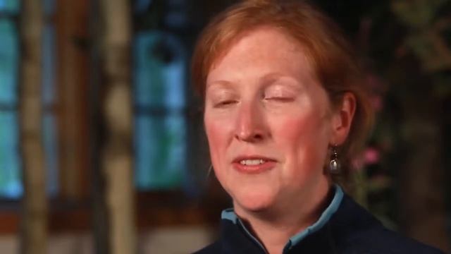 Hiking in the Backcountry | Denali National Park, Alaska смотреть онлайн