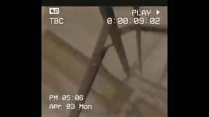 ВОТ ЖЕНЯ СМОТРИ КАК ЛЮДИ ПАДАЮТ В ТВОЙ СОН