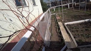 Капельный полив. Полив огорода капельным орошением. Мой огород. Как работает капельная лента.