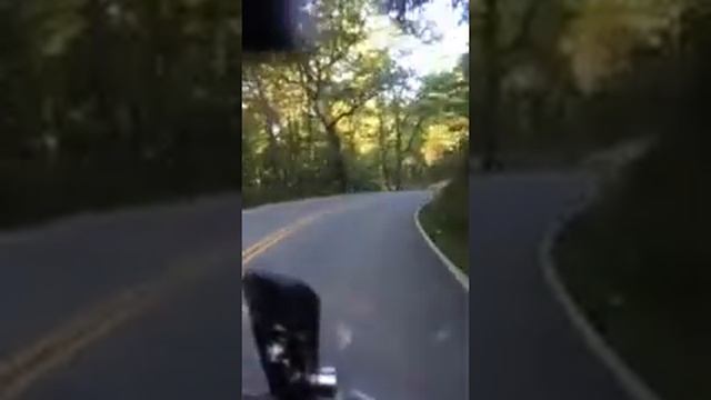 Devils Triangle 4 смотреть онлайн