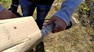 ОБЗОР И СБОРКА ВЕЛОСИПЕДА RUSH HOUR ( Wildberries )