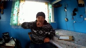 Чумовая подкормка рассады и комнатных цветов подмором пчёл