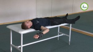 15 подлопаточная мышца  Спиной