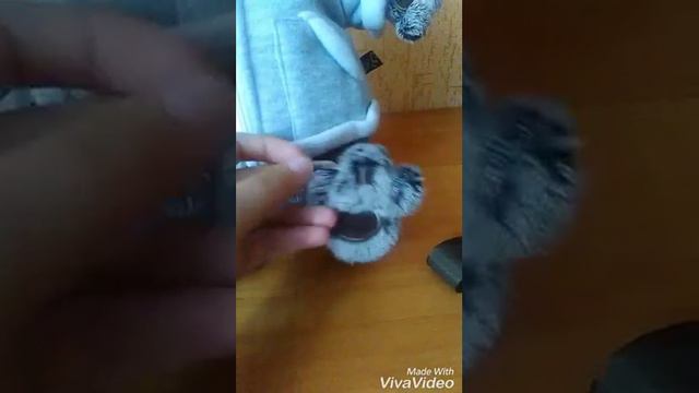 Обзор на Басика/ basik&Co/www.BUDIBASA.com смотреть онлайн