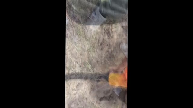 Пол тонны металла и бонус (ШОК ЧТО НАШЛИ)Коп металлолома с металлоискателем. смотреть онлайн