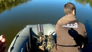 Новичкам везет!!! Сом на Квок. Ловля сома на реке Десна.