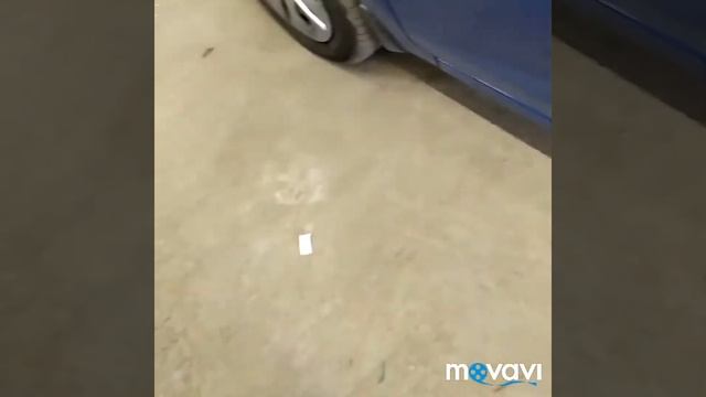 Видео №25 [Кальянов Дмитрий] смотреть онлайн