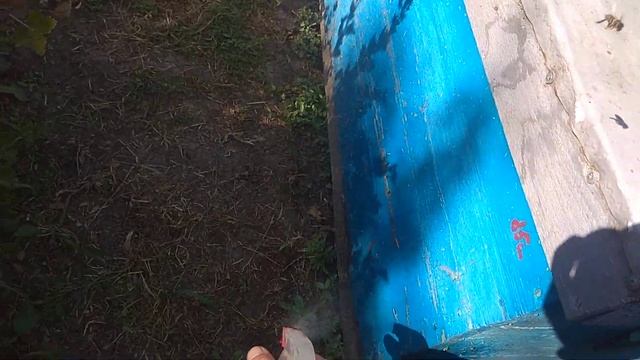 ПОЧЕМУ У МЕНЯ НЕТ ВОРОВСТВА НА ПАСЕКЕ 26.08.2019 смотреть онлайн