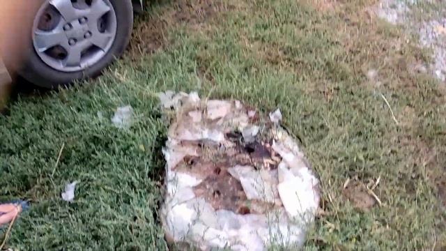 Уничтожение пня аммиачной селитрой смотреть онлайн