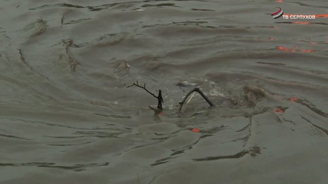 В Серпухове устраняют последствия сильного ливня смотреть онлайн