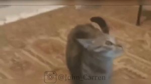 Приколы #28 _ Давай По Лужам _ Лучшие приколы