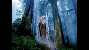 НОСОРОГ ПРОТИВ носорога, льва, слона, туристов, бородавочника и даже машины! Носорог в ДЕЛЕ!