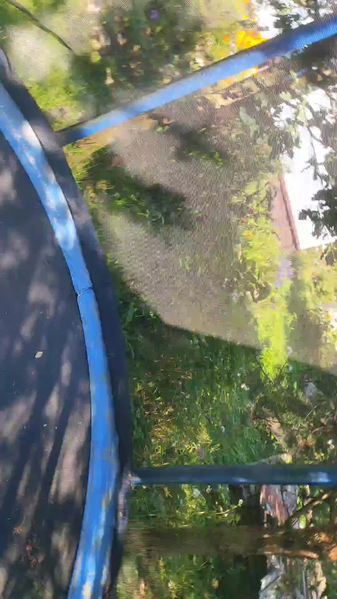 дп