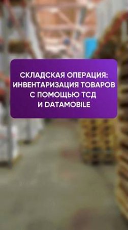 Проведение инвентаризации на складе с ТСД и ПО DataMobile