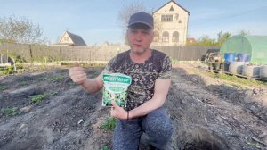Обрываем цветонос и кормим ремонтантную клубнику