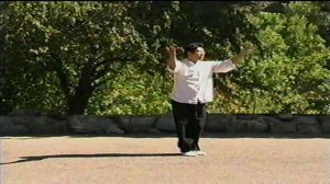 Багуачжан стиль Гао - Умные руки. Ч 2