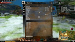 Guild Wars 2 | NON-TARGET Настройки