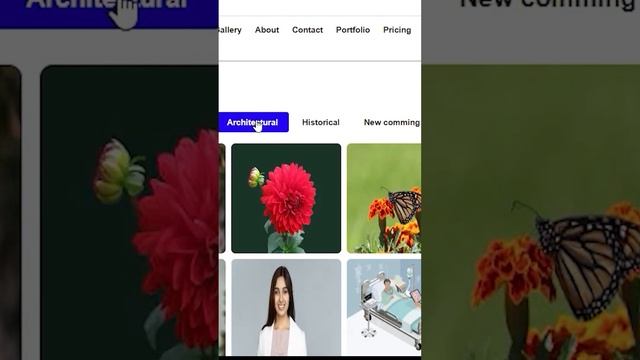 demo photo gallery | how to create photo filter gallery