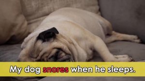 Phonics Blends for Kids: SC, SK, SM, SN, SP, ST - Beginning Reading on Harmony Square