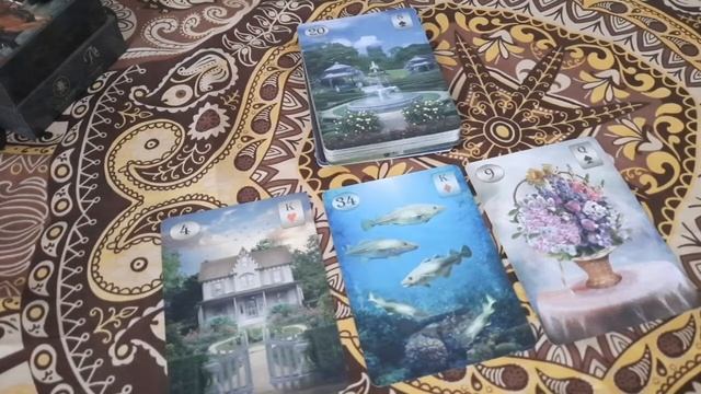 Изучение и понимание карт. 5 практических способов изучить язык своей колоды смотреть онлайн