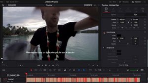 Import SRT File in Davinci Resolve (Subtitles)
