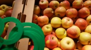 Яблоки оптом. Гала Шнига 60+ (2 сорт). РостАгроЭкспорт