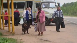 СОбачья верность и человеческое бездушие. Судьба братьев наших меньших