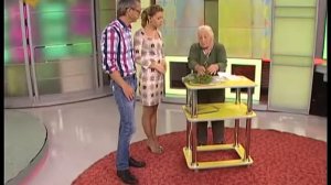 Мокрица полезный сорняк для красоты и здоровья