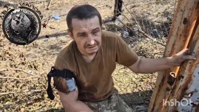 Собрались как-то украинские строитель, пасечник, сварщик, слесарь и литейщик за фашизм повоевать